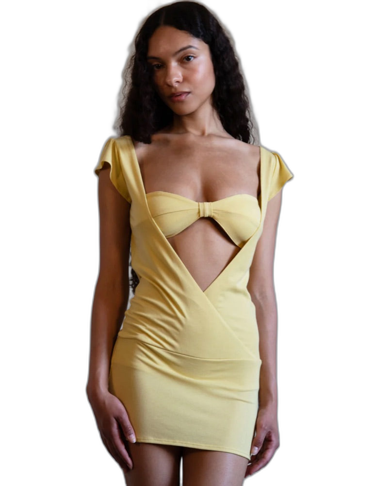 BUCI HIBISCUS DRESS